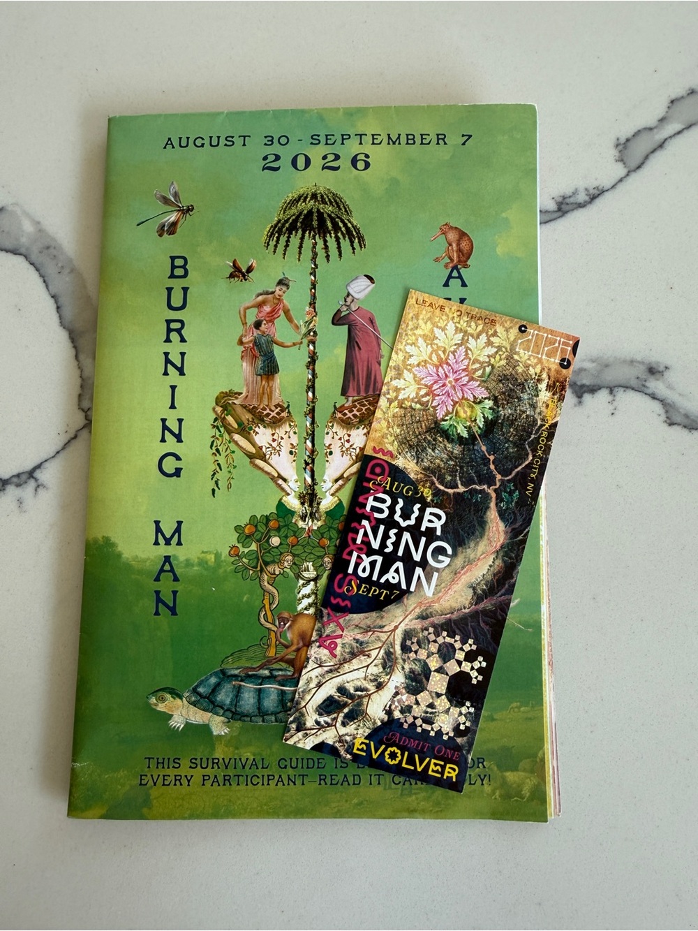 Burning Man 2026 Ticket